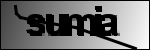 Text per identificar